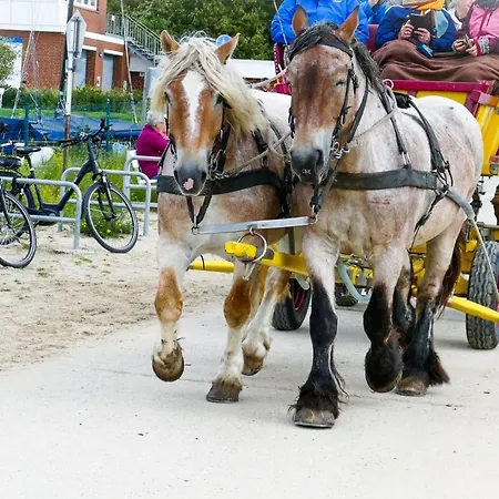 Apartament Haus Seewind Hs18 Cuxhaven